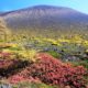 浅間山の紅葉です!!