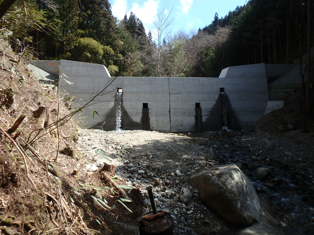 P4030001-1024x768.jpg