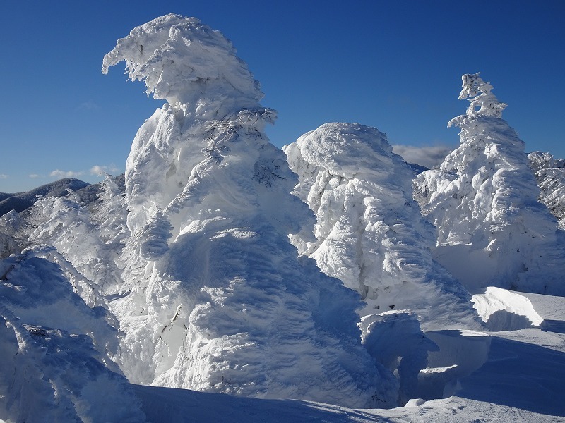 北アルプス冬の罠 (徳間文庫 あ 15-50) 南沢山（阿智村清内路）の樹氷！！ | 南信州お散歩日和