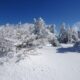 新年登山は恵那山（阿智村）！！