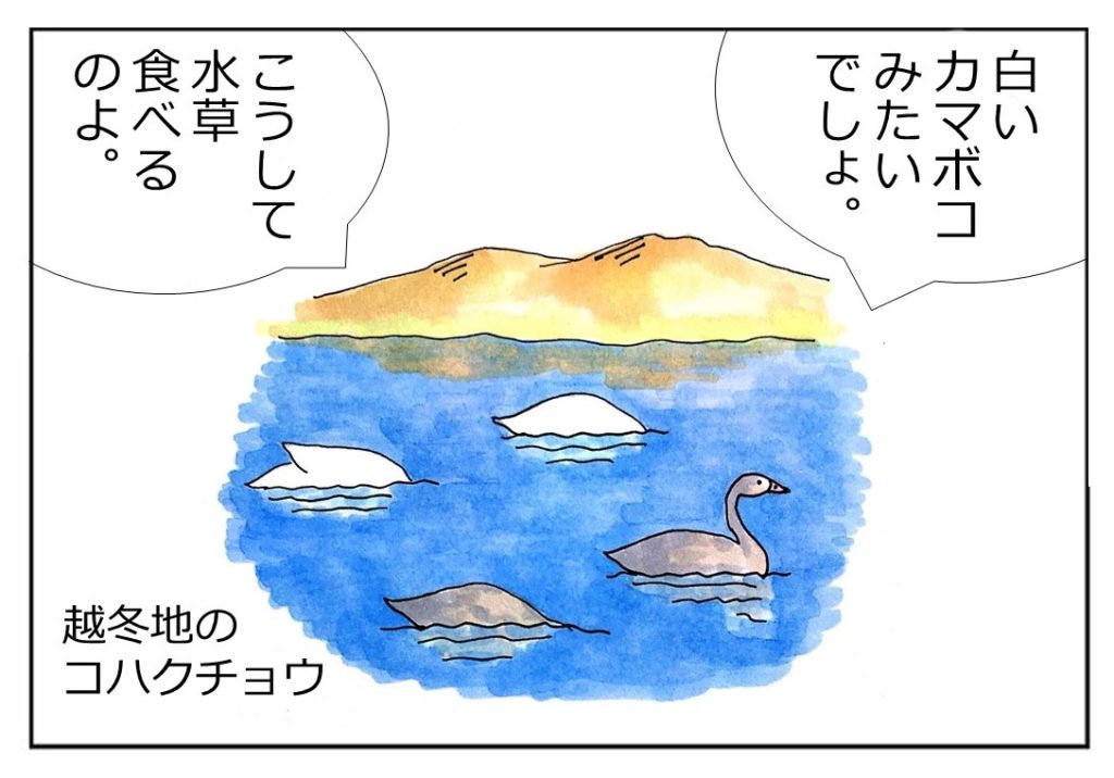 2a831ec055ed4fee4e1d0936ea4050