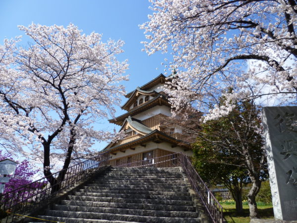 高島城と桜