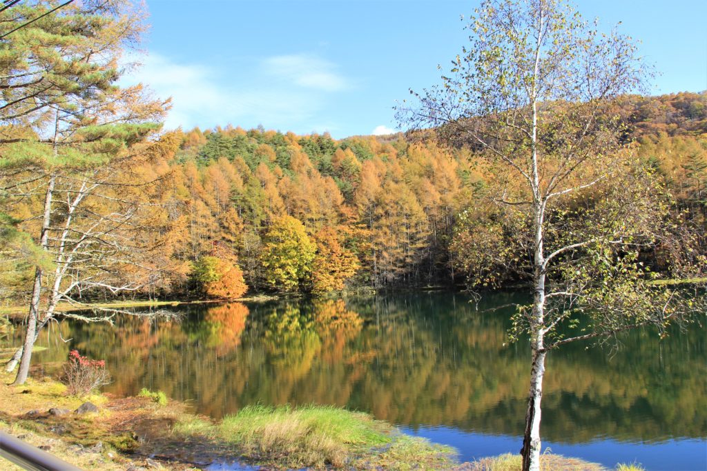 紅葉の御射鹿池 須栗平ため池 まるやち湖 乙女滝 諏訪を体感 よいてこしょ