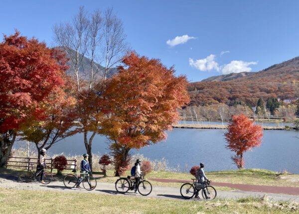 白樺湖の湖畔を、４人の人がそれぞれ自転車を引きながら歩いている写真です。
