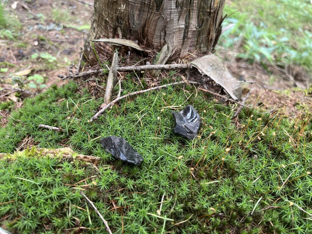 ブラタモリで放送】許可なしでは入れない黒曜石の宝庫「星ヶ塔遺跡