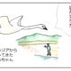 北に帰れてよかったね！諏訪湖の鉛とコハクチョウの話・下～強い「のりこ」と帰ってきた「まあちゃん」～